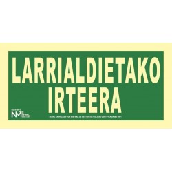 S. LARRIALDIETAKO IRTEERA...